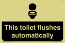this-toilet-flushes-automatically~